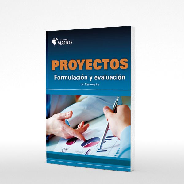 Proyectos Formulacion y Evaluacion