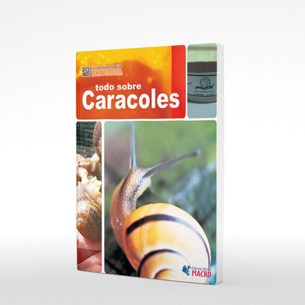 Microempresa Todo Sobre Ca